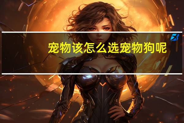 宠物该怎么选宠物狗呢
