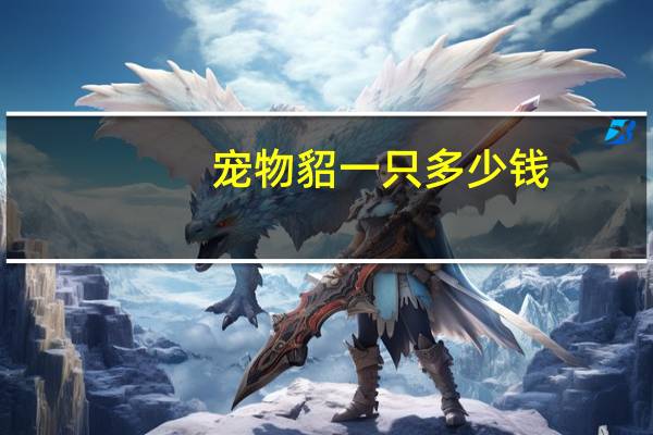 宠物貂一只多少钱（宠物貂多少钱）