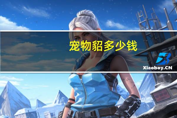 宠物貂多少钱