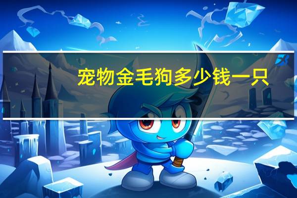 宠物金毛狗多少钱一只