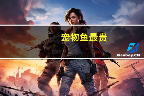 宠物鱼最贵