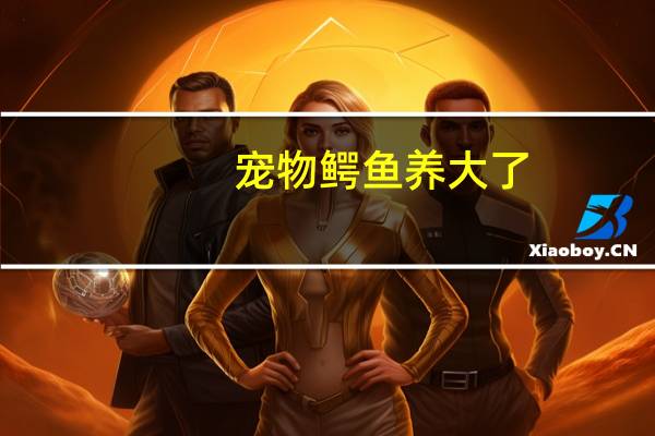 宠物鳄鱼养大了（宠物鳄鱼长大了怎么办）