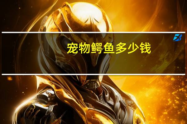 宠物鳄鱼多少钱