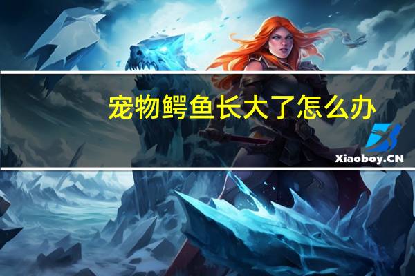 宠物鳄鱼长大了怎么办
