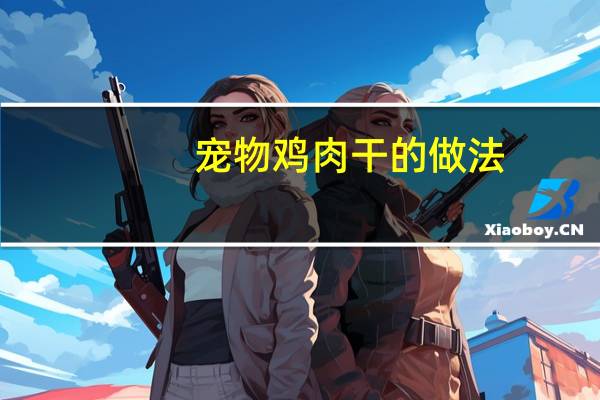宠物鸡肉干的做法