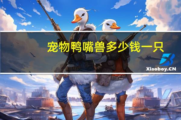 宠物鸭嘴兽多少钱一只