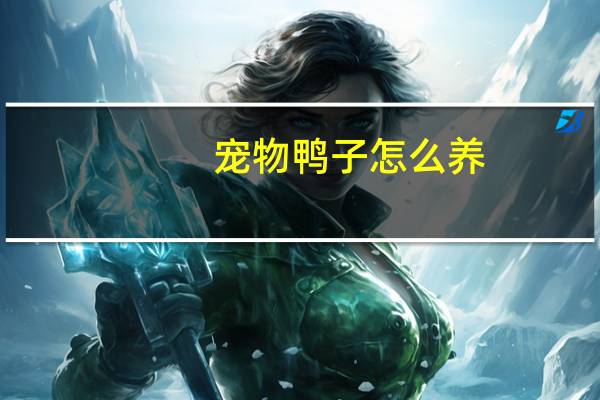 宠物鸭子怎么养