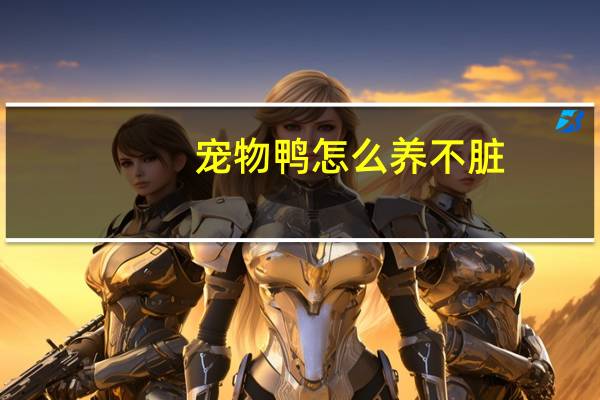 宠物鸭怎么养不脏