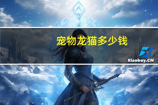 宠物龙猫多少钱