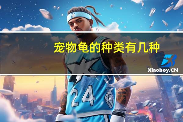 宠物龟的种类有几种