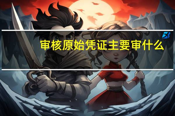 审核原始凭证主要审什么