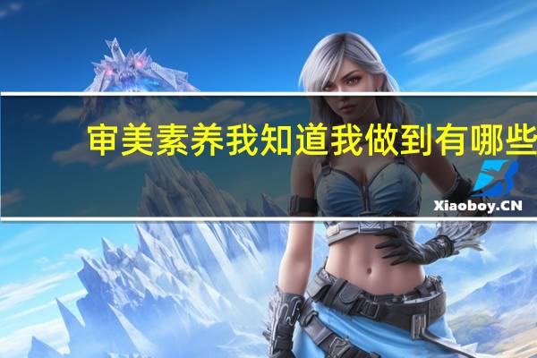 审美素养我知道我做到有哪些