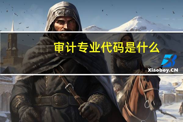 审计专业代码是什么