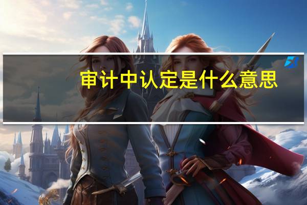 审计中认定是什么意思