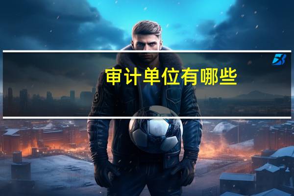 审计单位有哪些