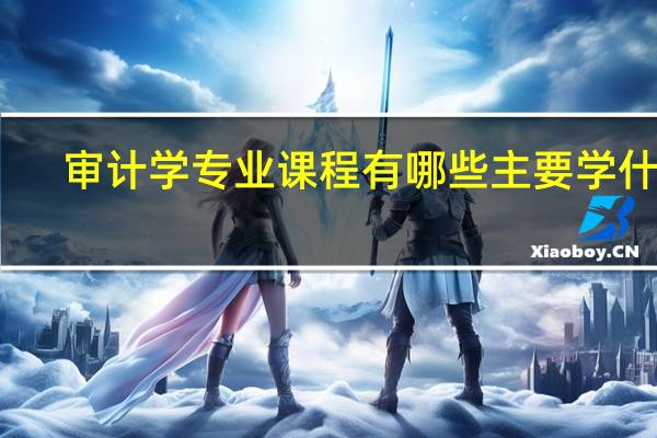 审计学专业课程有哪些 主要学什么