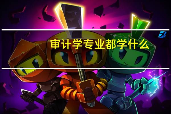 审计学专业都学什么
