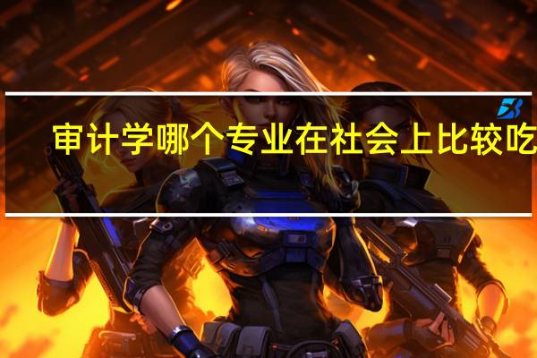 审计学哪个专业在社会上比较吃香