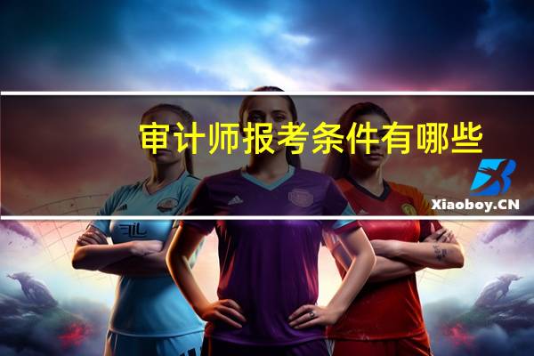 审计师报考条件有哪些
