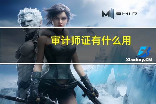 审计师证有什么用
