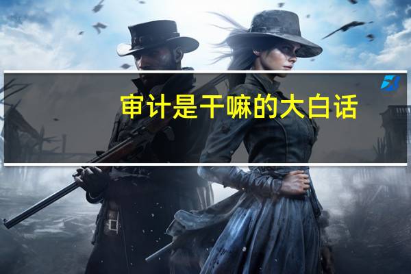 审计是干嘛的大白话