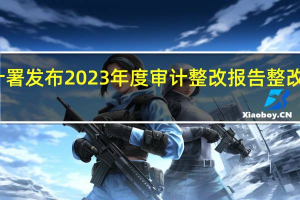 审计署发布2023年度审计整改报告 整改成效显著