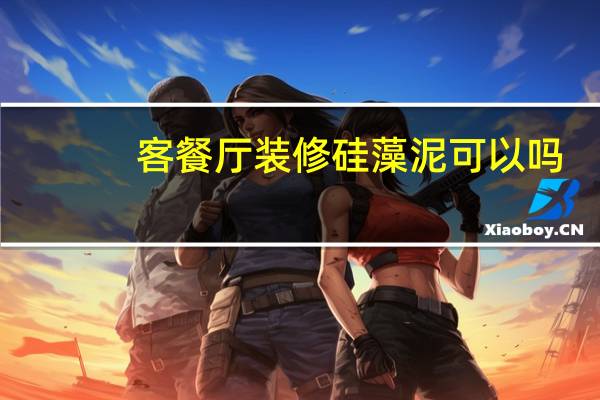 客餐厅装修硅藻泥可以吗