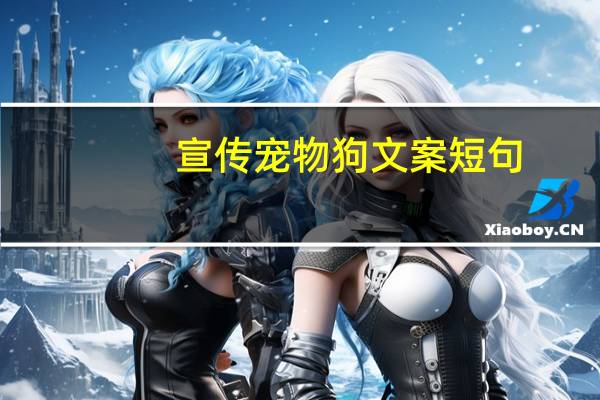 宣传宠物狗文案短句