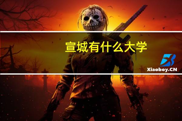 宣城有什么大学