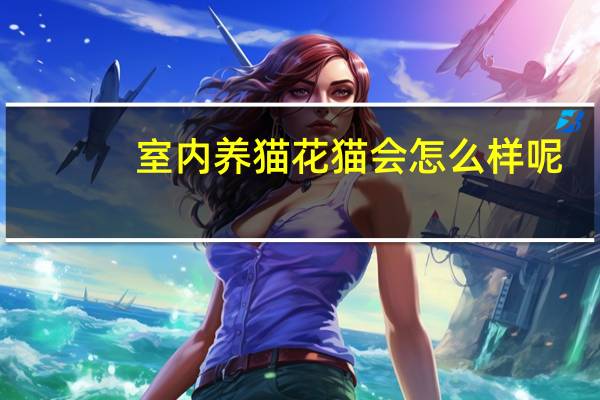 室内养猫花猫会怎么样呢
