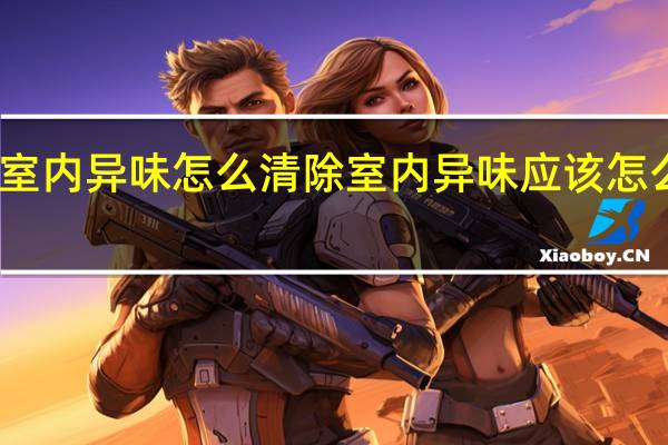 室内异味怎么清除 室内异味应该怎么清除