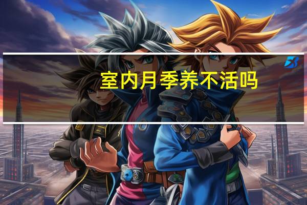 室内月季养不活吗