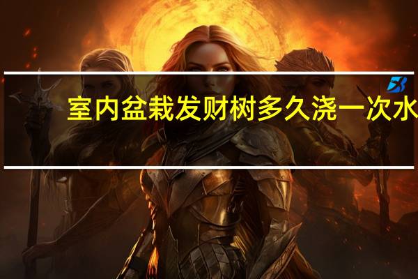 室内盆栽发财树多久浇一次水