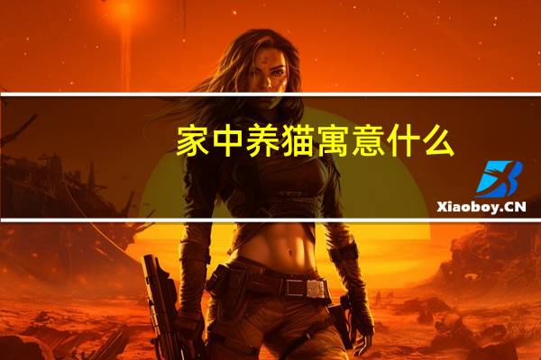 家中养猫寓意什么