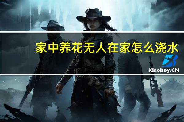家中养花无人在家怎么浇水