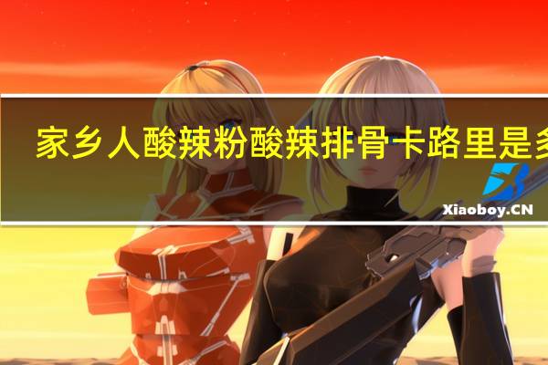 家乡人 酸辣粉酸辣排骨卡路里是多少