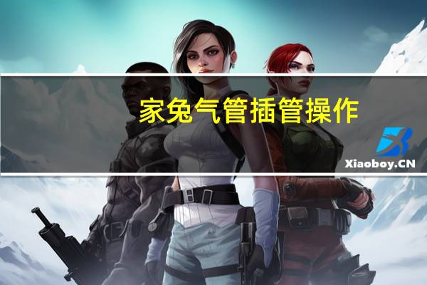 家兔气管插管操作