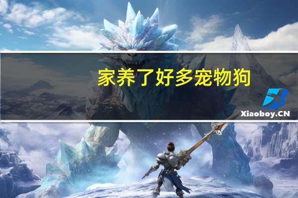 家养了好多宠物狗