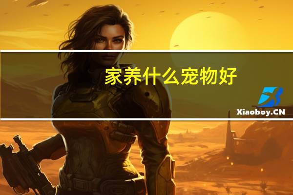 家养什么宠物好