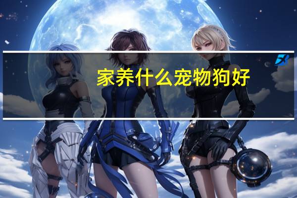 家养什么宠物狗好