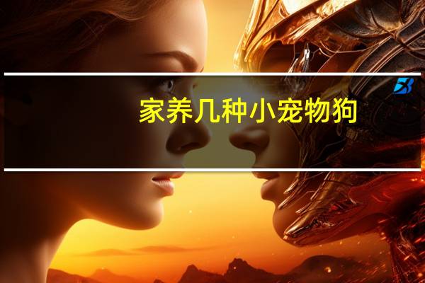 家养几种小宠物狗