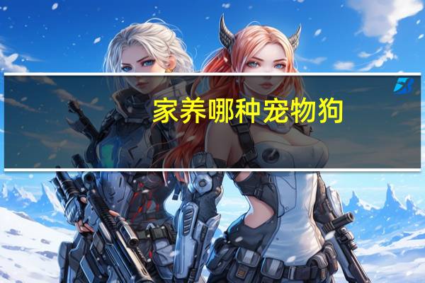 家养哪种宠物狗