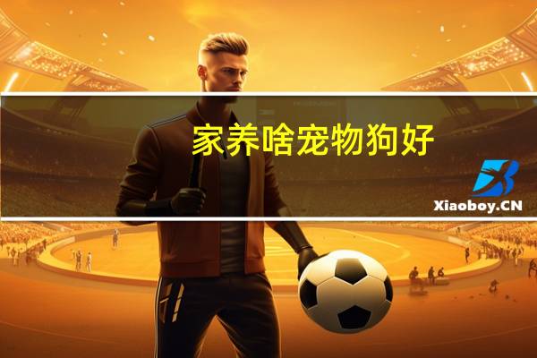 家养啥宠物狗好