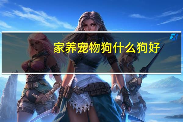 家养宠物狗什么狗好