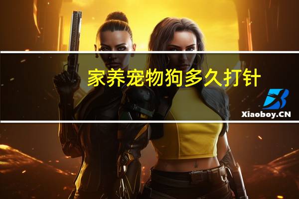 家养宠物狗多久打针