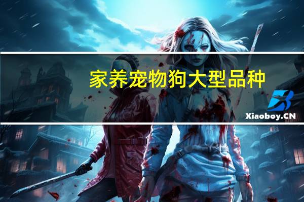 家养宠物狗大型品种