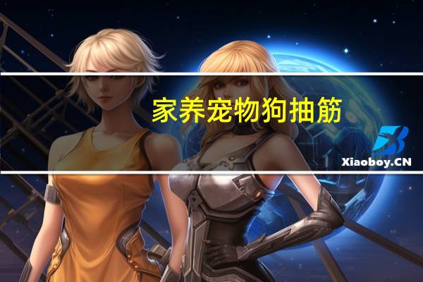家养宠物狗抽筋