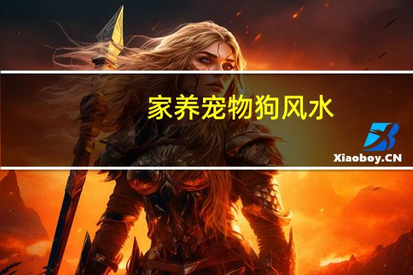 家养宠物狗风水