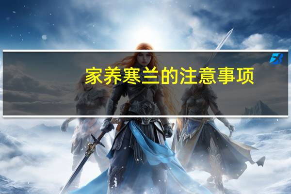 家养寒兰的注意事项