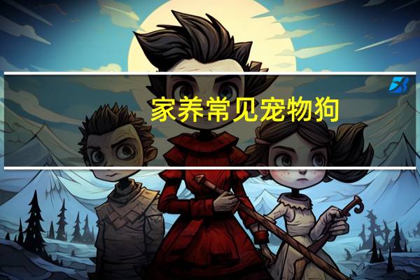 家养常见宠物狗